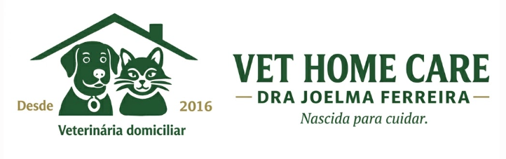 Logo Dra Joelma Home Care